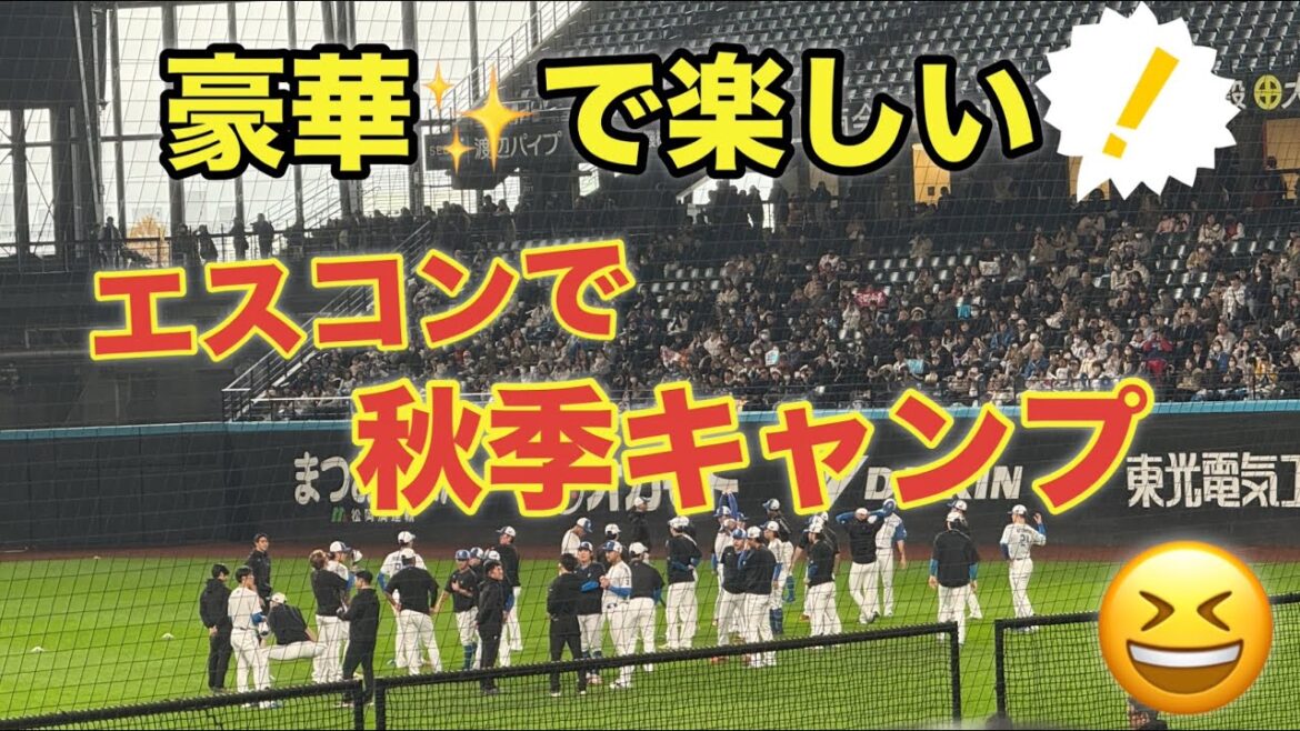 エスコンでファイターズ秋季キャンプ！無料でこんな良い席です！最高過ぎました‼︎✨