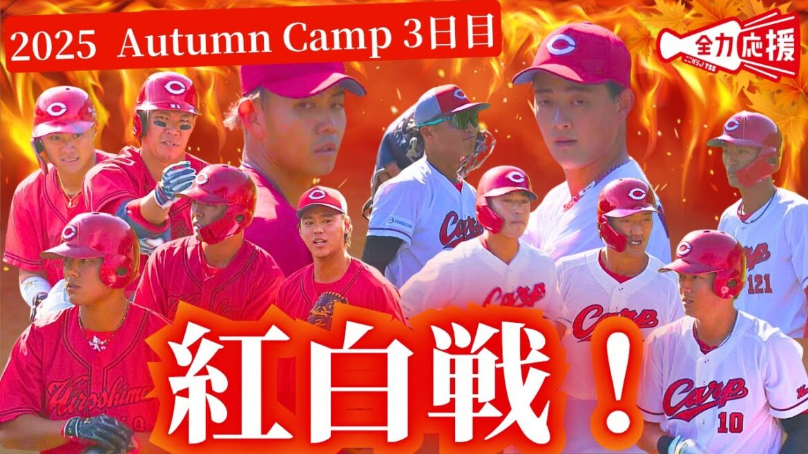 【白熱の紅白戦】来季先発転向の岡本・辻両投手が先発🔥佐々木泰が貫録の複数安打を放つと渡邉悠斗も打でアピール！【球団認定】カープ全力応援チャンネル