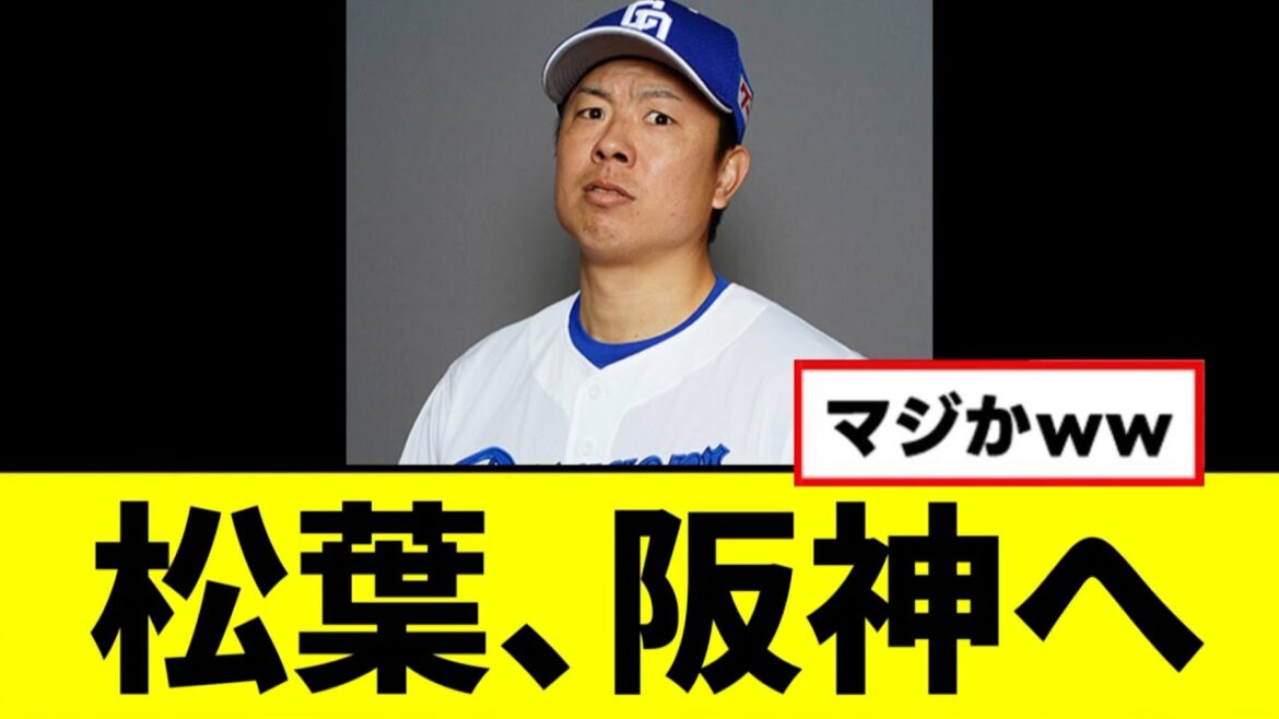 【阪神】FAの中日松葉、阪神へwwwww 【阪神】FAの中日松葉、阪神へwwwww