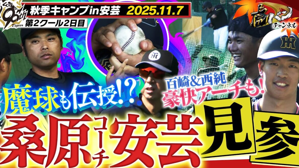 【11月7日秋季キャンプ】安芸に桑原コーチが見参！早速ブルペンで熱血指導！百崎が！西純が！井坪が！豪快サク越え競演！門別坂道ダッシュも！阪神タイガース密着！応援番組「虎バン」ABCテレビ公式チャンネル