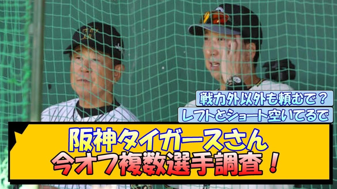 阪神タイガースさん、今オフ複数選手調査！
