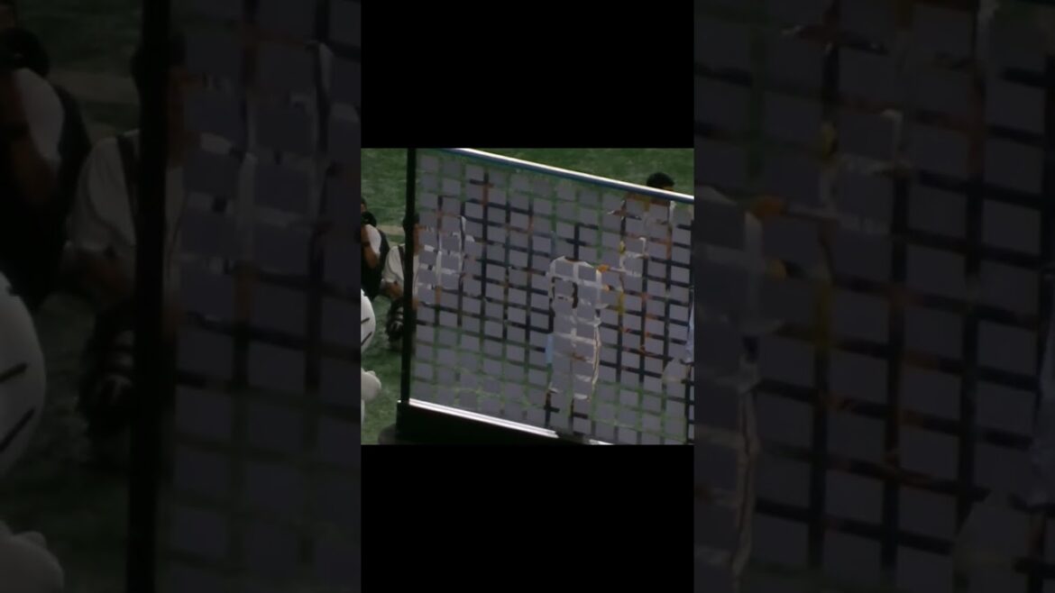 【これから全盛期】立岡宗一郎のヒーローインタビュー④【読売ジャイアンツ対千葉ロッテマリーンズ2024年6月4日】 #巨人 #ヒーローインタビュー #ヒロイン　#立岡宗一郎