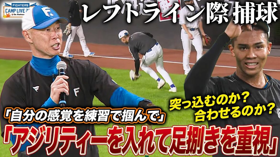 どんどん上達する外野手陣‼レフトライン際の外野ゴロ捕球を森本稀哲コーチがこまかく指導<11/7ファイターズ秋季キャンプ2025> どんどん上達する外野手陣‼レフトライン際の外野ゴロ捕球を森本稀哲コーチがこまかく指導<11/7ファイターズ秋季キャンプ2025>
