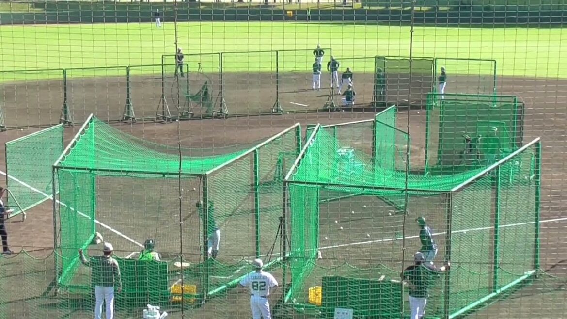 【プロ野球】　オリックス　秋季キャンプ　『午後からの練習（球場内）』