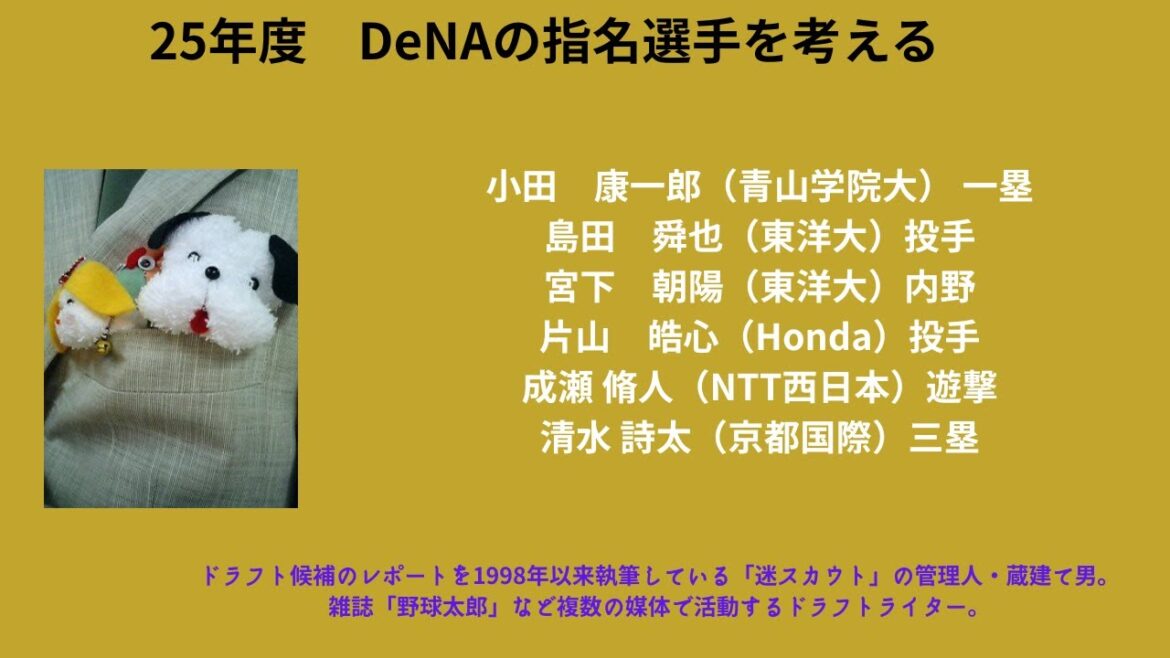 ２５年度　DeNAのドラフト指名選手を考える
