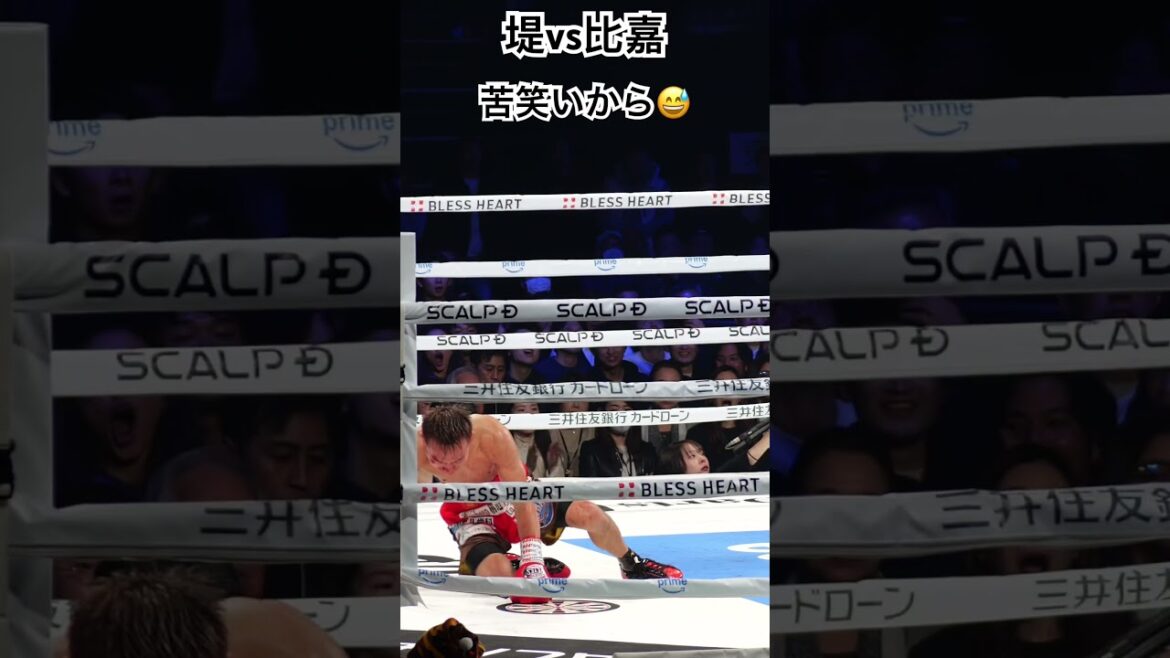 堤 vs 比嘉 初ダウンにもかかわらず、冷静に立ち上がる堤聖也。