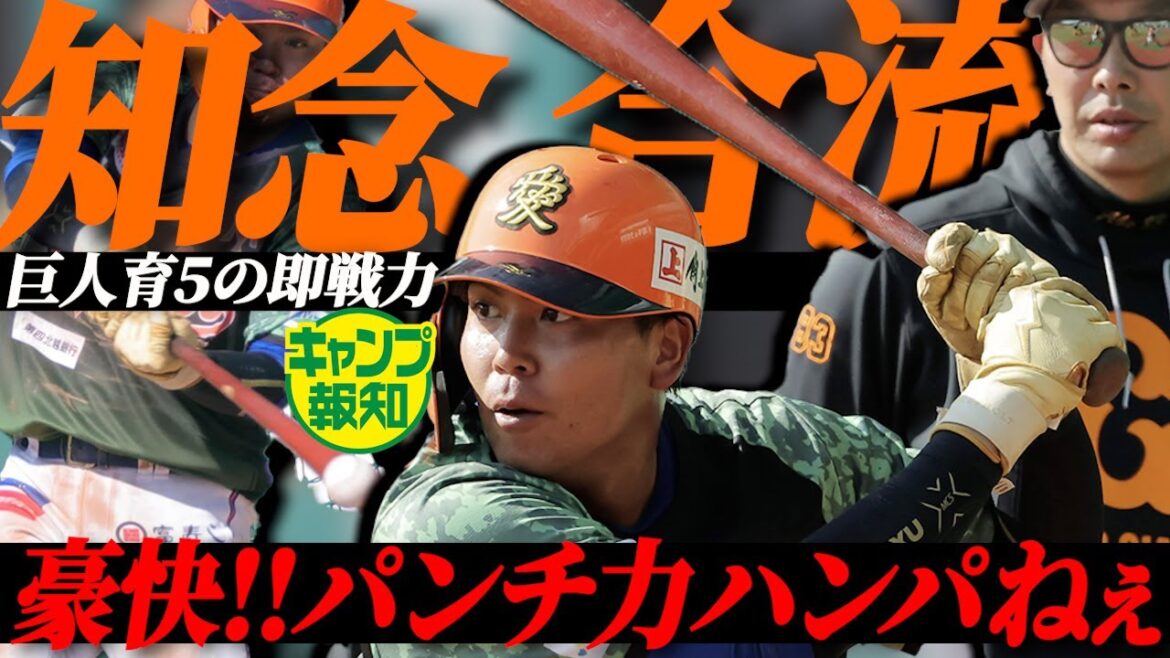 【1軍つかめ】打撃は「レギュラーでいけるよ」という即戦力な育成5位・知念大成の実力とは【キャンプ報知】 【1軍つかめ】打撃は「レギュラーでいけるよ」という即戦力な育成5位・知念大成の実力とは【キャンプ報知】