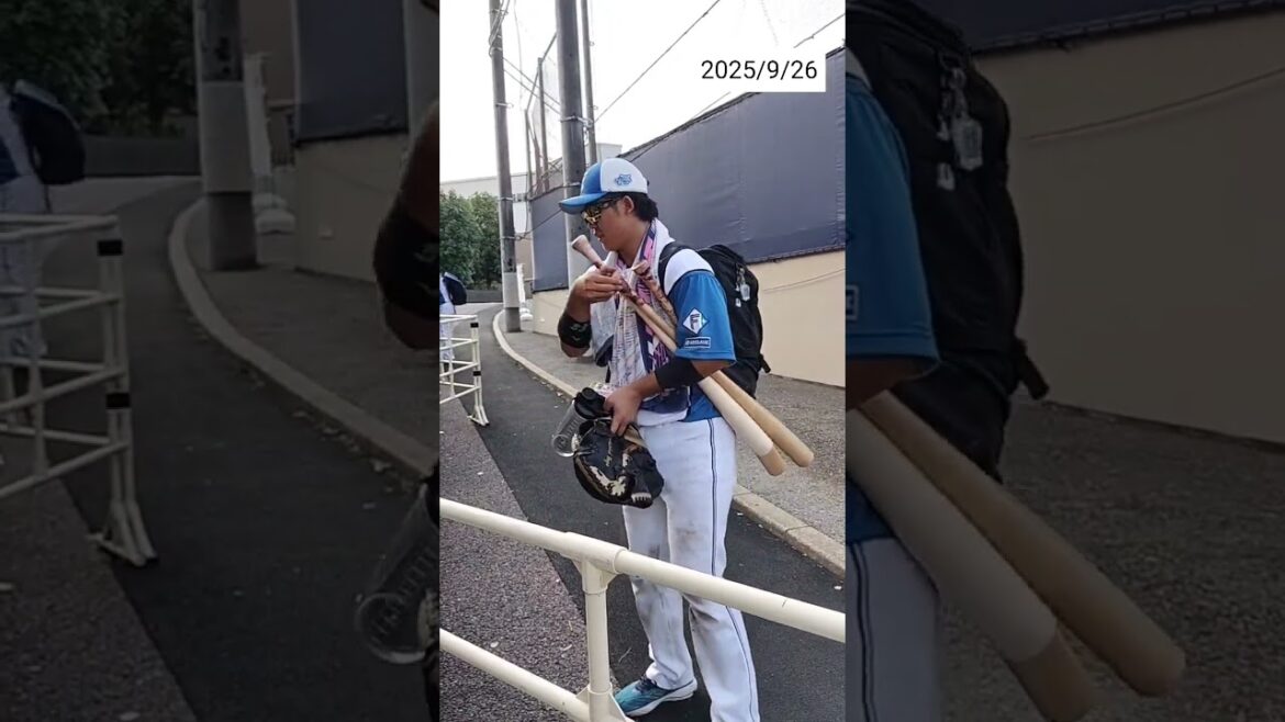 【FIGHTERS】 #進藤勇也 選手33のファンサービス #shorts #日本ハム #ファイターズ #プロ野球