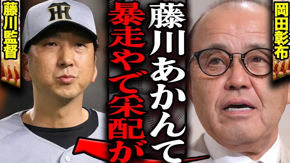 岡田彰布が阪神日本シリーズ敗退に痛烈な本音激白…藤川監督を名指し批判するレベルの大胆発言、日本一逃した衝撃の理由に言葉を失う【プロ野球】