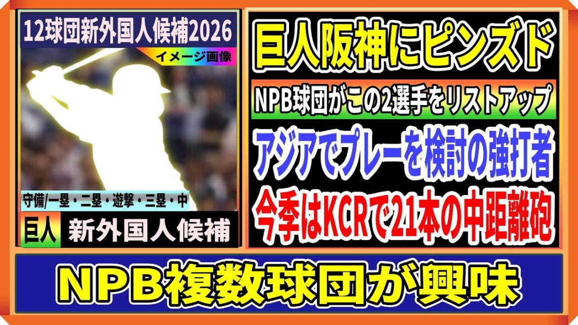 【巨人新外国人候補2026】セの複数球団で争奪戦?アジア行きを検討するハロルド内野手をNPB球団がリストアップ【12球団新外国人候補】 【巨人新外国人候補2026】セの複数球団で争奪戦?アジア行きを検討するハロルド内野手をNPB球団がリストアップ【12球団新外国人候補】