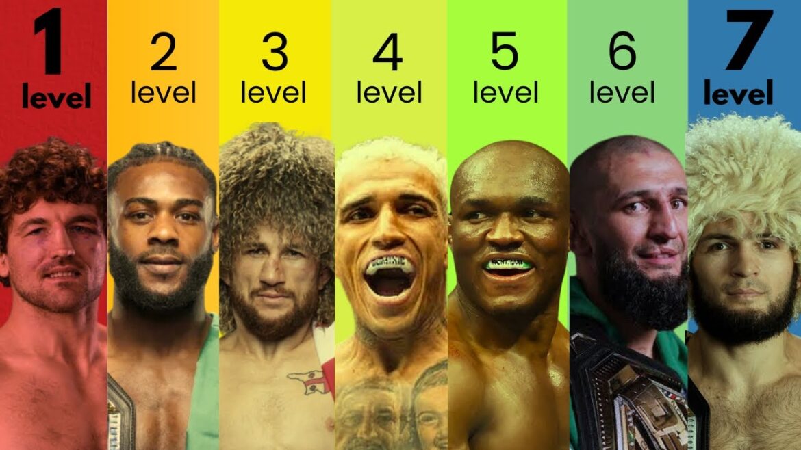 The 7 Levels of MMA Grapplers