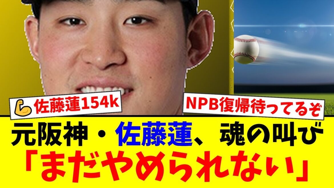 【元阪神】戦力外通告の佐藤蓮、育成球団トライアウトで衝撃の154キロを叩き出し完全復活をアピール！赤堀監督も高評価した豪腕にNPB復帰待望論が殺到！【プロ野球ファンの反応】