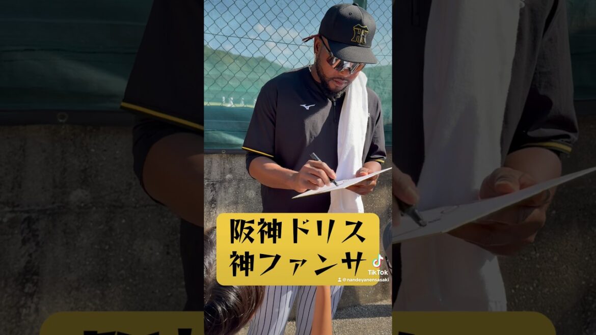 阪神ドリス神ファンサin阪神高知安芸キャンプ🏕️#阪神タイガース #プロ野球 #阪神 #ドリス