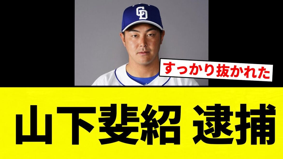 【お笑い】山下斐紹 逮捕【プロ野球反応集】【2chスレ】【なんG】