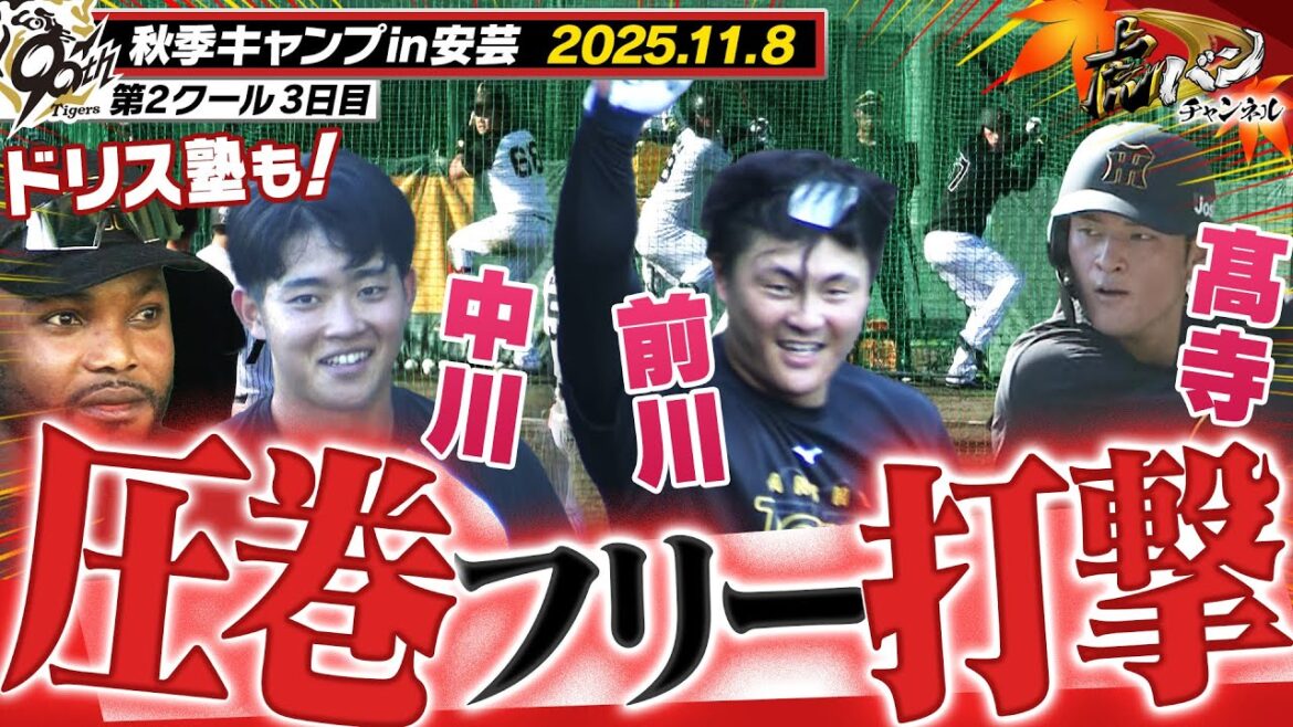 【11月8日秋季キャンプ】前川・髙寺・中川が合流!観客も驚く特大アーチ連発で藤川監督に猛アピール!ドリス塾も開講!阪神タイガース密着!応援番組「虎バン」ABCテレビ公式チャンネル 【11月8日秋季キャンプ】前川・髙寺・中川が合流!観客も驚く特大アーチ連発で藤川監督に猛アピール!ドリス塾も開講!阪神タイガース密着!応援番組「虎バン」ABCテレビ公式チャンネル