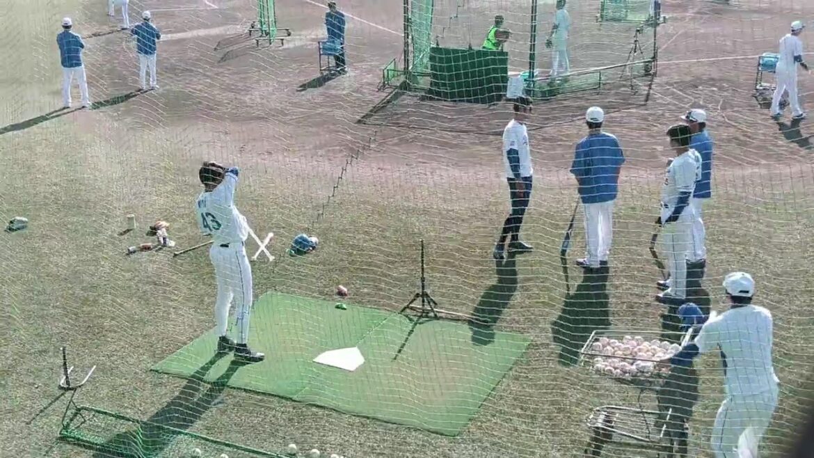 【プロ野球】11.8　中日　秋季キャンプ　『トスバッティング』