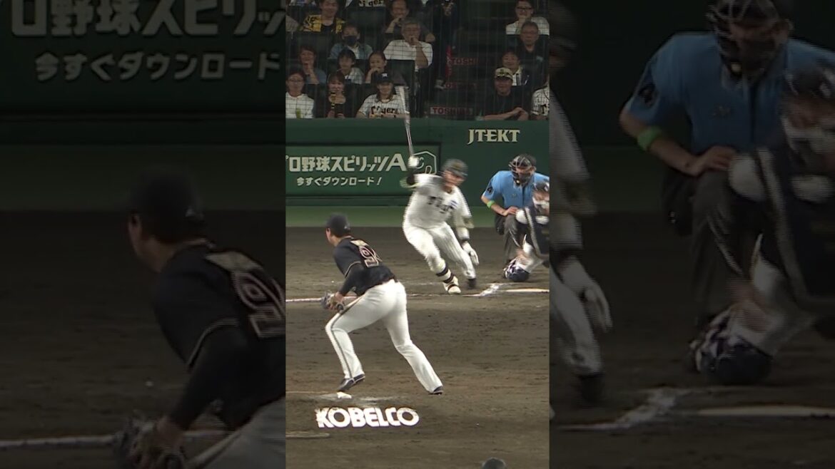 阪神タイガース THE OFFICIAL MOVIE2025ー栄光の虎道一 2025年11月14日(金)公開 #阪神タイガース#shorts #short #木浪聖也