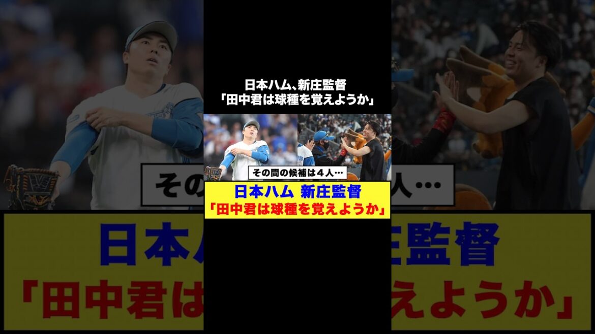 【クローザー】日本ハム、新庄監督「田中君は球種を覚えようか」【プロ野球反応集】#日本ハムファイターズ #新庄監督 #田中正義 #shorts