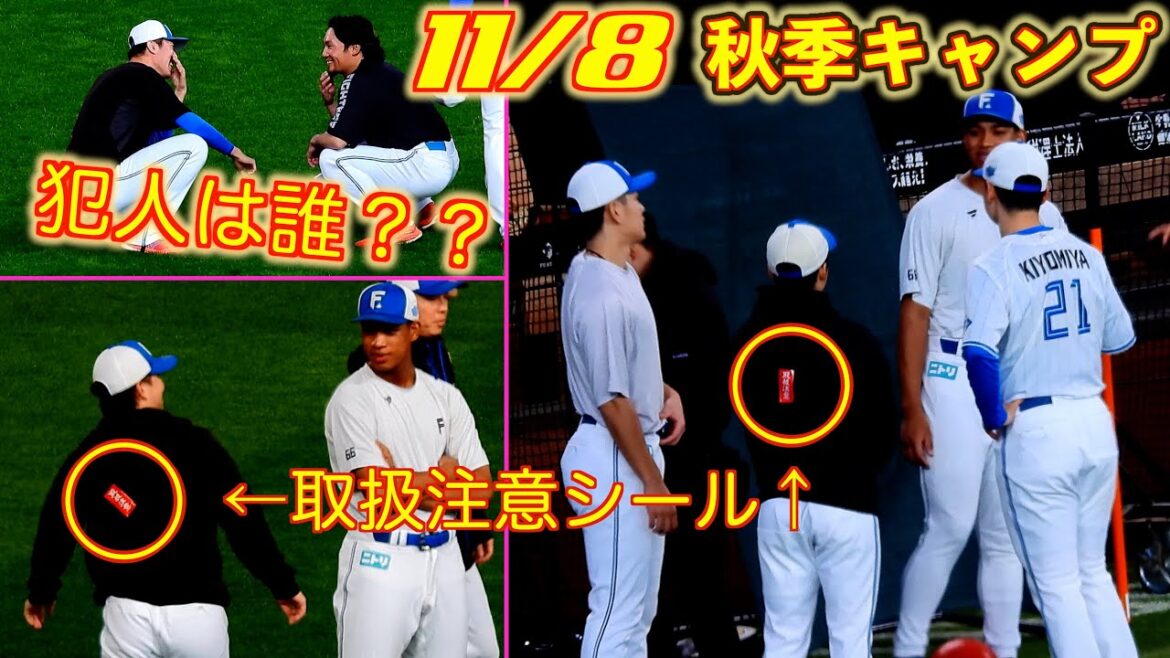 【20251108】㊟取扱注意㊟(伊藤大海・奈良間大己・金村尚真・堀瑞輝) 【20251108】㊟取扱注意㊟(伊藤大海・奈良間大己・金村尚真・堀瑞輝)