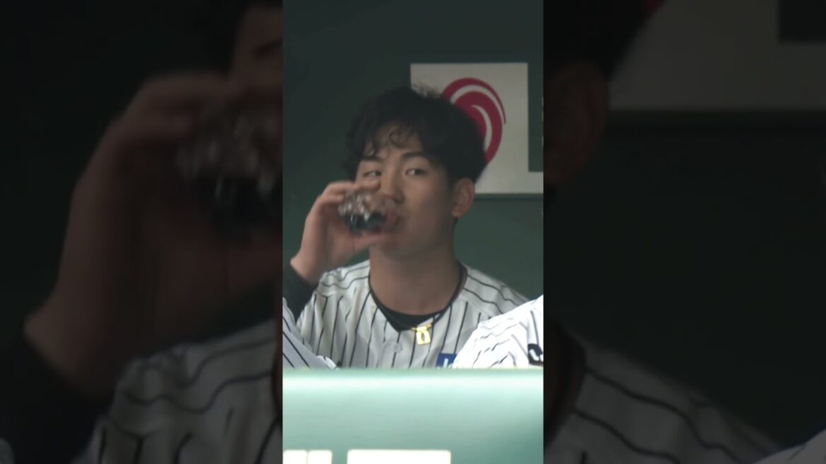 阪神タイガース THE OFFICIAL MOVIE2025ー栄光の虎道一 2025年11月14日(金)公開 #阪神タイガース#shorts #short #伊原陵人