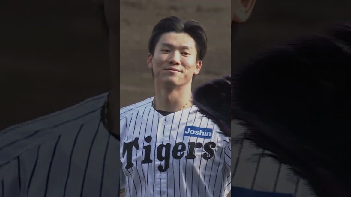 阪神タイガース THE OFFICIAL MOVIE2025ー栄光の虎道一 2025年11月14日(金)公開 #阪神タイガース#shorts #short #湯浅京己