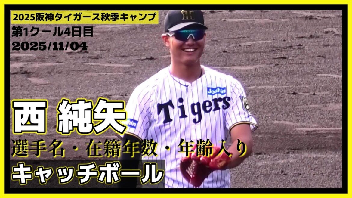 【2025阪神タイガース秋季キャンプ(第1クール4日目)/キャッチボール(選手名・在籍年数・年齢入り)≫野手陣のキャッチボールの様子】2025/11/04阪神タイガース