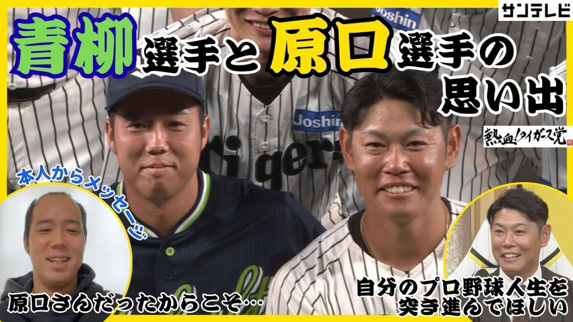 【原口選手と青柳選手の思い出】青柳選手の初勝利は原口選手とのバッテリー。そんな二人のお話をたっぷりと! #熱血タイガース党 【原口選手と青柳選手の思い出】青柳選手の初勝利は原口選手とのバッテリー。そんな二人のお話をたっぷりと! #熱血タイガース党