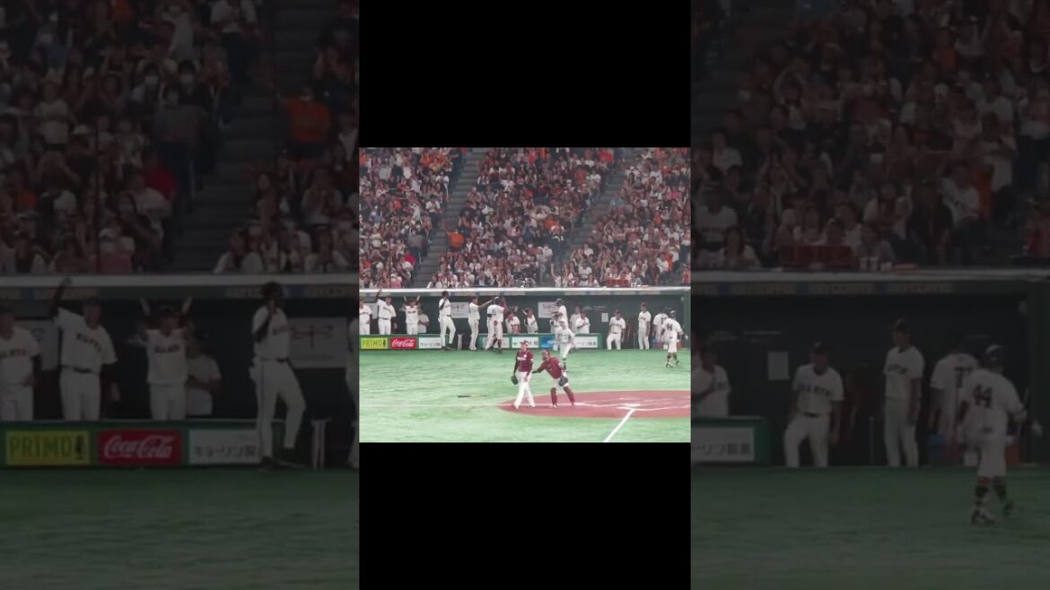 【巨人ベンチ】9回土壇場 ウレーニャ同点犠飛で大盛り上がり（読売ジャイアンツ 対 楽天ゴールデンイーグルス 2024年9月22日）