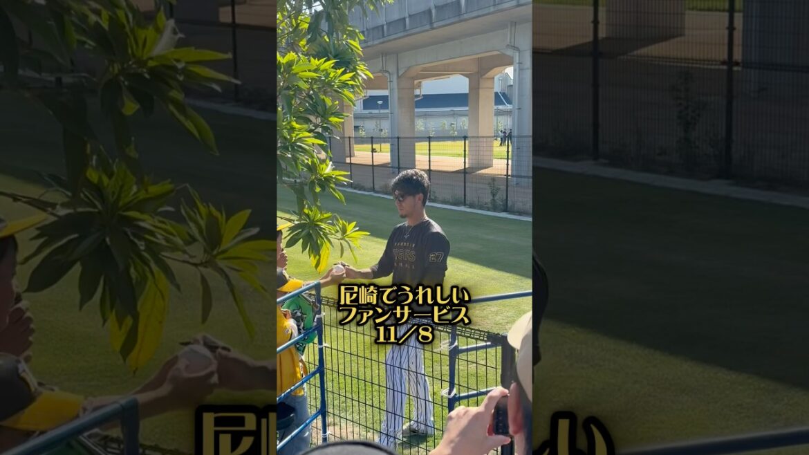 秋季練習でファンサービス25/11/8尼崎 #阪神 #阪神タイガース #阪神ファン #伊藤将司 #湯浅京己 #岡留英貴 #小川一平 #尼崎 #hanshintigers #プロ野球 #sgl