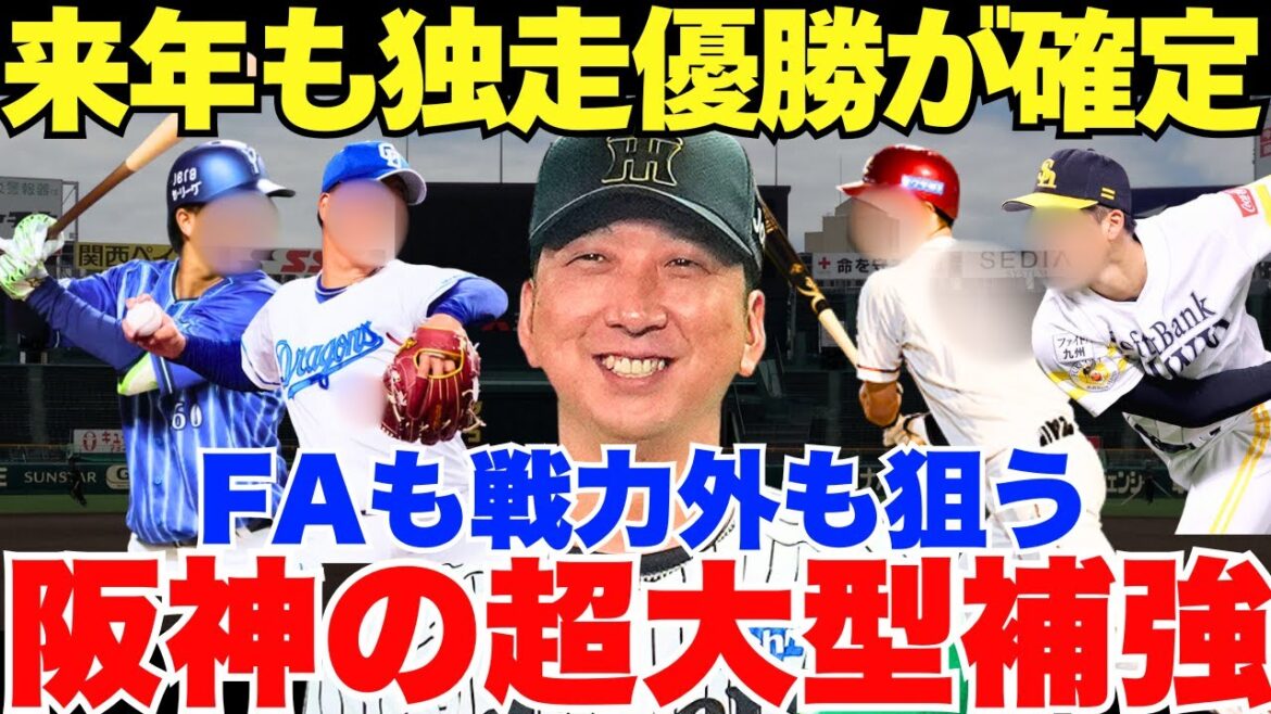 阪神タイガースが超大型の補強！？これで来年も圧倒的な独走で優勝か！