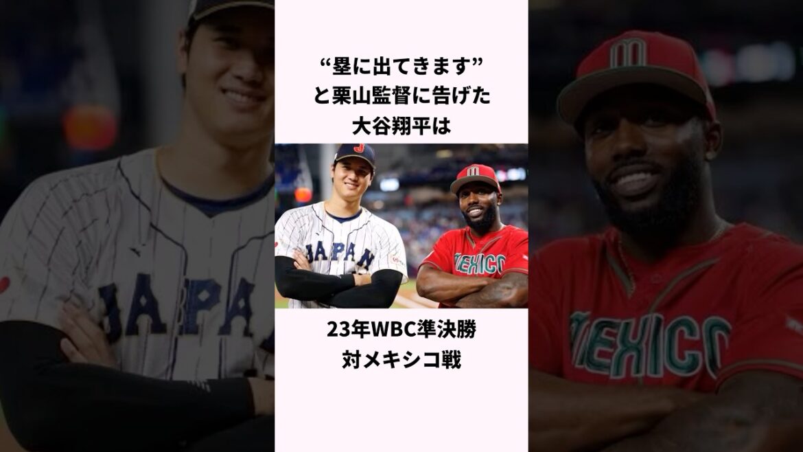 「大谷翔平の野球観を認めた」栗山英樹に関する雑学 #ショート #野球 #大谷翔平 #wbc