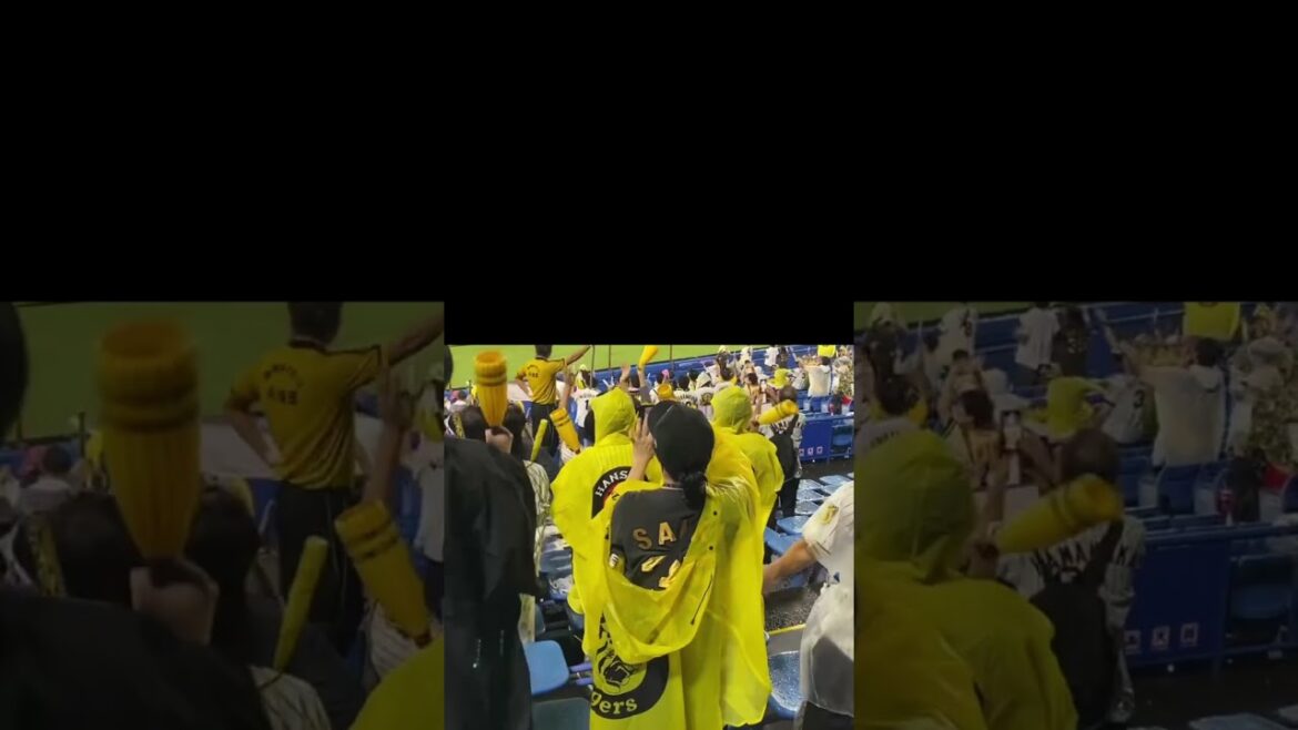 小幡竜平選手、誕生日おめでとう御座います！/明日も頑張れ！！/阪神タイガース