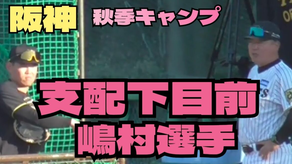11/8　阪神　秋季キャンプ　128島村選手　育成#阪神タイガース #阪神 #プロ野球 #野球 #野球ニュース#秋季キャンプ #ショート #ショート動画 #キャッチャー #ピッチャー #守備