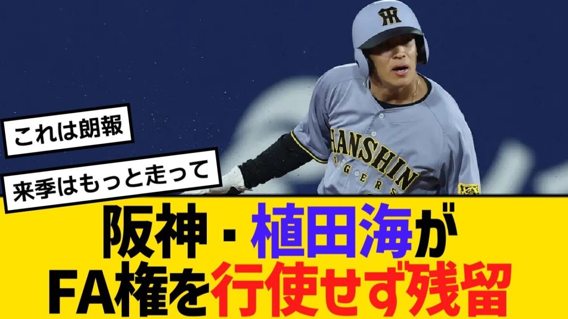 阪神・植田海がFA権を行使せず残留【野球】【反応】【考察】 阪神・植田海がFA権を行使せず残留【野球】【反応】【考察】