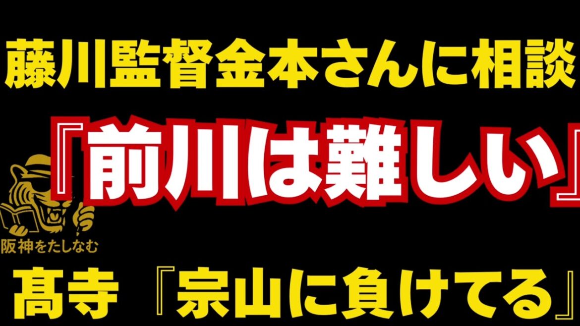 藤川監督が金本前監督に相談していた‼️前川が輝くためには‼️高寺成長期待‼️#前川右京＃髙寺 望夢＃阪神タイガース #阪神　若手#阪神タイガース  　注目#試合考察  #藤川監督 ＃阪神　キャンプ