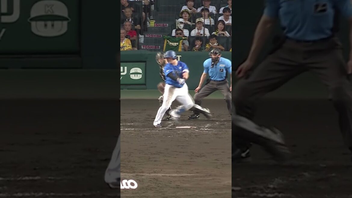 阪神タイガース THE OFFICIAL MOVIE2025ー栄光の虎道一 2025年11月14日(金)公開 #阪神タイガース#shorts #short #髙橋遥人