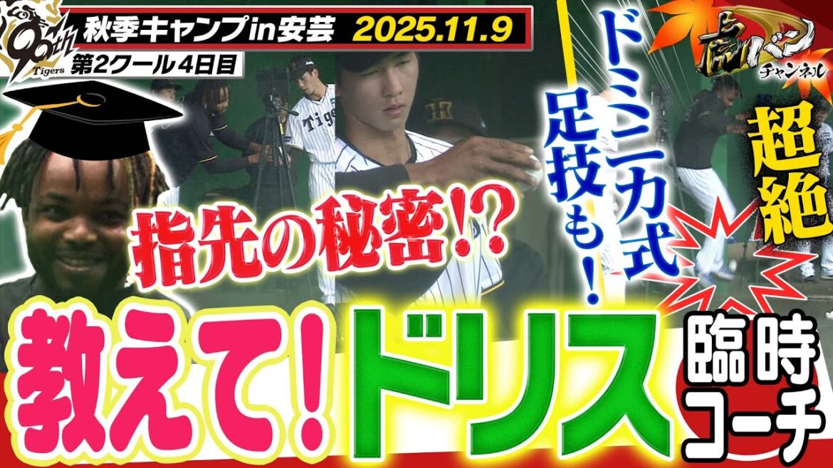 【11月9日秋季キャンプ】神直伝！ドリス臨時コーチが伝家の宝刀を若虎に指導！！超絶技巧！？ドミニカ式足技も見逃すな！！ 阪神タイガース密着！応援番組「虎バン」ABCテレビ公式チャンネル