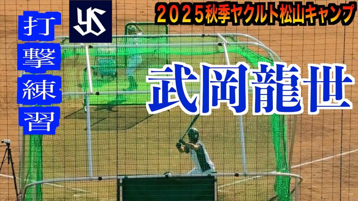 【池山監督がバッピ】武岡龍世（東京ヤクルトスワローズ）フリーバッティング！【２０２５秋季ヤクルト松山キャンプ】