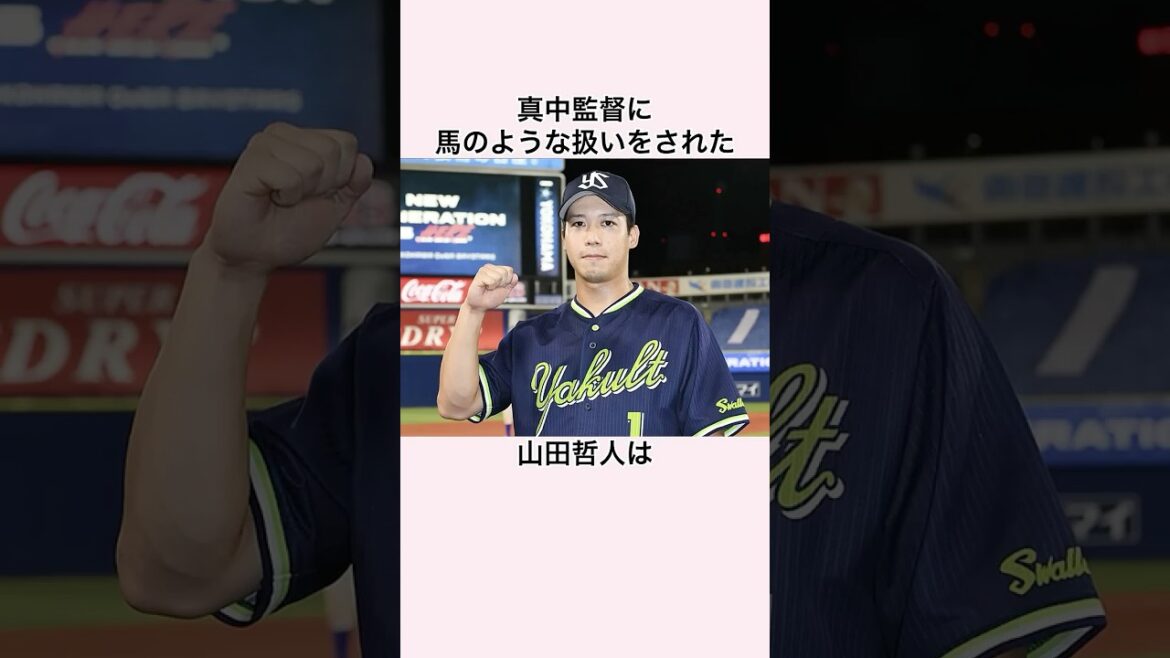 「復活するにはニンジン作戦しかない」山田哲人に関する雑学 #東京ヤクルトスワローズ #山田哲人 #プロ野球 #真中監督 「復活するにはニンジン作戦しかない」山田哲人に関する雑学 #東京ヤクルトスワローズ #山田哲人 #プロ野球 #真中監督