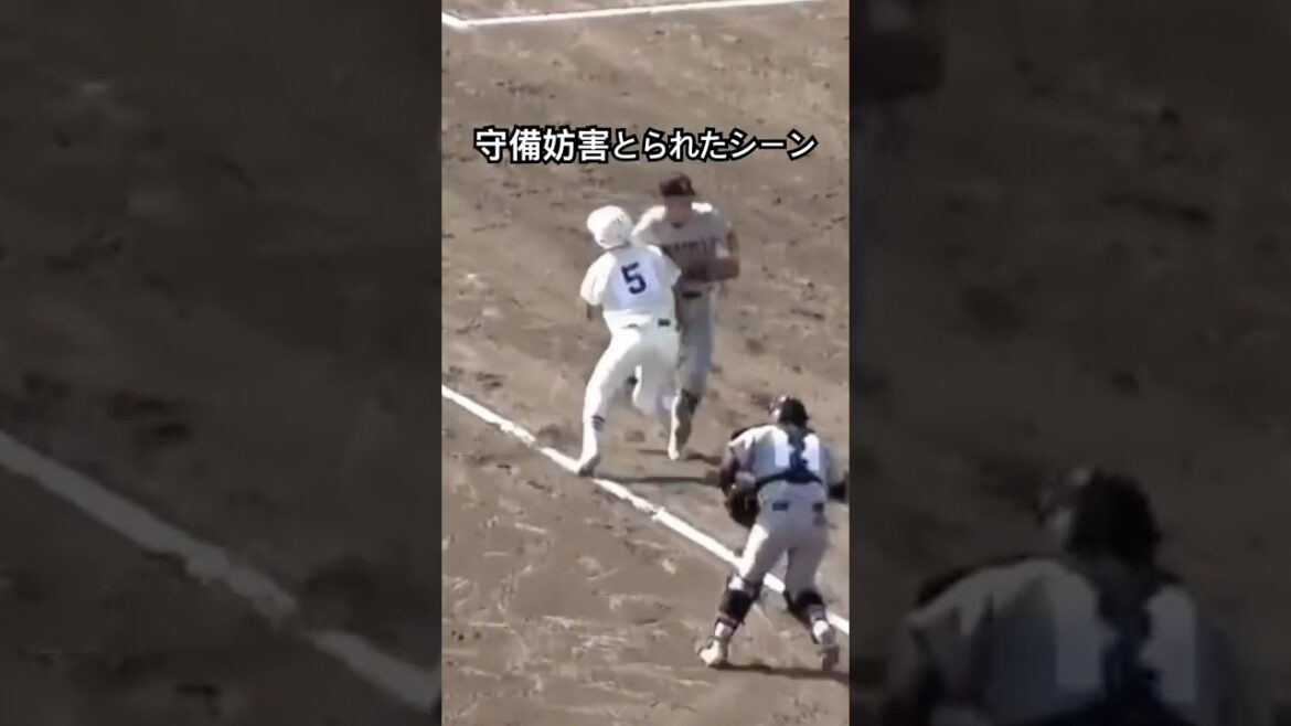 守備妨害判定のシーン　長時間中断、日大三高の抗議も覆らず… 国体　日大三高vs仙台育英　国スポ　#仙台育英 日大三高 #高校野球 #野球 #プロ野球  #甲子園 #守備妨害