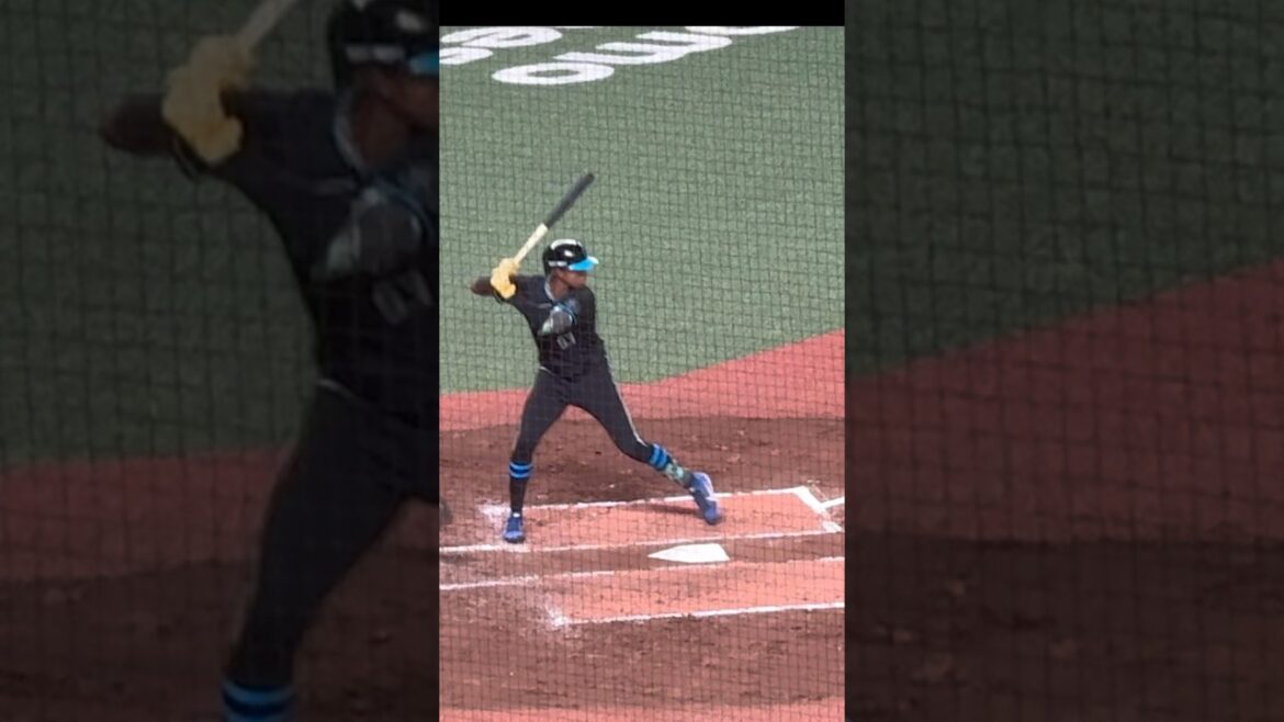 Shun Mizutani 水谷 瞬 Slow Motion Swing Hokkaido Nippon- Ham Fighters Shun Mizutani 水谷 瞬 Slow Motion Swing Hokkaido Nippon- Ham Fighters