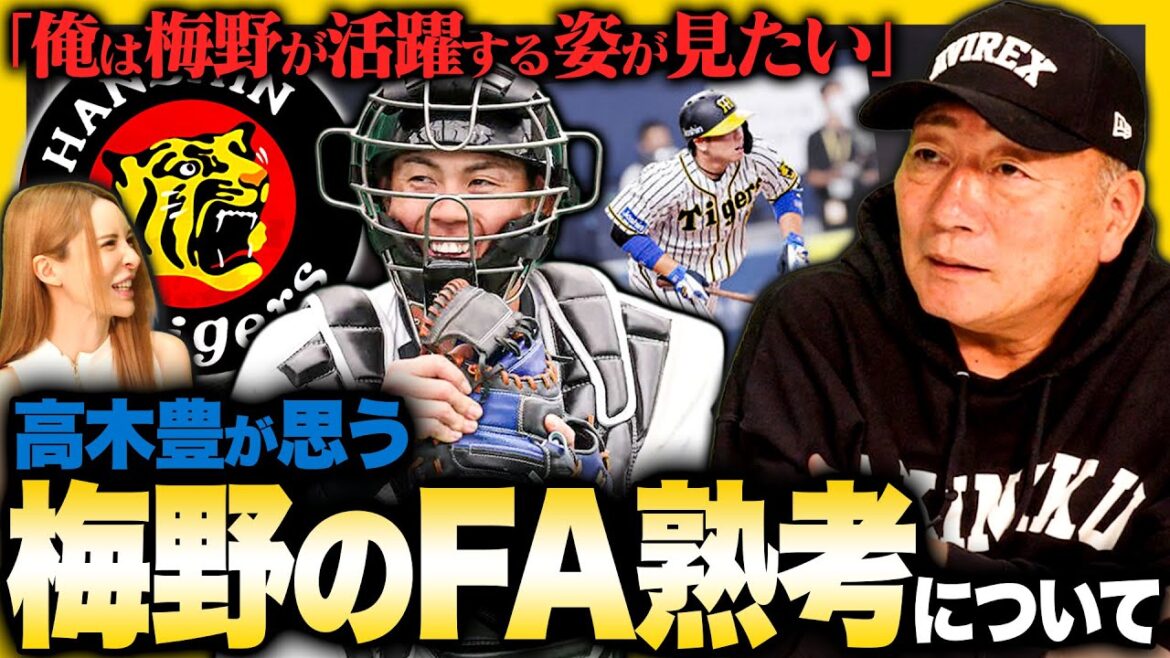 【FA動向】阪神梅野がFA熟考『俺が梅野ならFA権行使する』阪神だと出場機会が減る⁉︎宣言したらどの球団が獲得に動くのか？高木豊が考察してみた‼︎