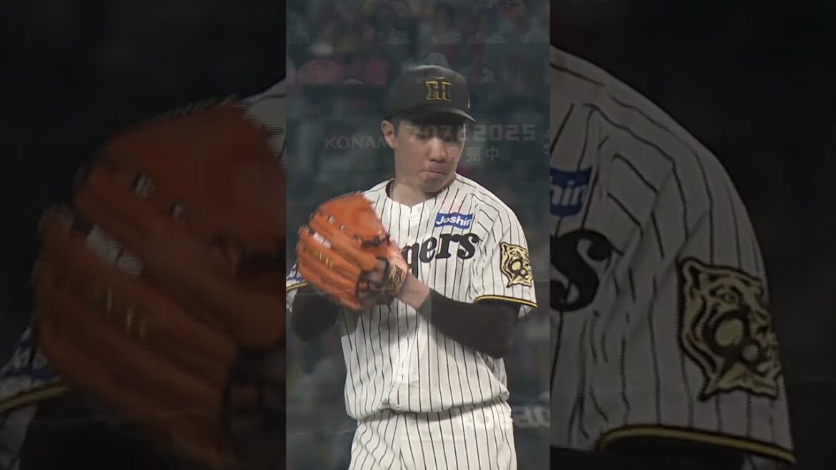 阪神タイガース THE OFFICIAL MOVIE2025ー栄光の虎道一 2025年11月14日(金)公開 #阪神タイガース#shorts #short #石井大智