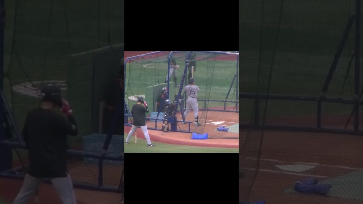 泉口友汰のフリーバッティングする姿（横浜DeNAベイスターズ 対 読売ジャイアンツ 2024年9月25日）　#泉口友汰　#打撃練習 #巨人練習 #baseball