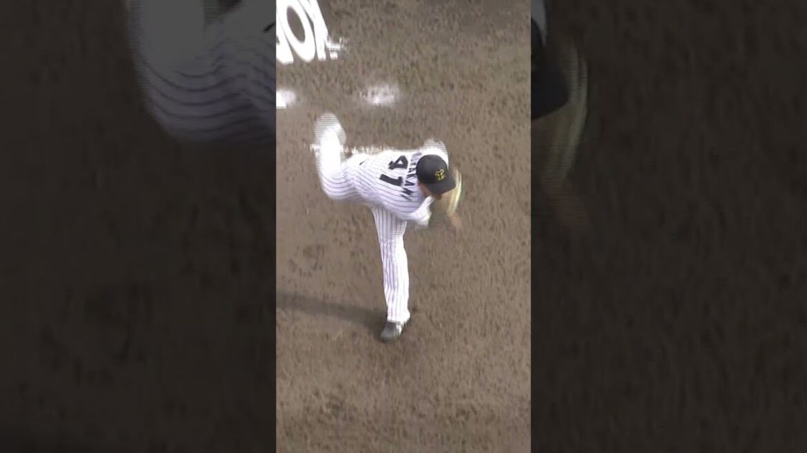 阪神タイガース THE OFFICIAL MOVIE2025ー栄光の虎道一 2025年11月14日(金)公開 #阪神タイガース#shorts #short #村上頌樹