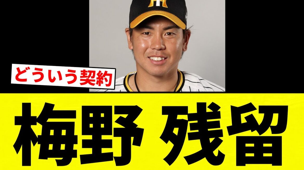 【残留】梅野 残留【プロ野球反応集】【2chスレ】【なんG】