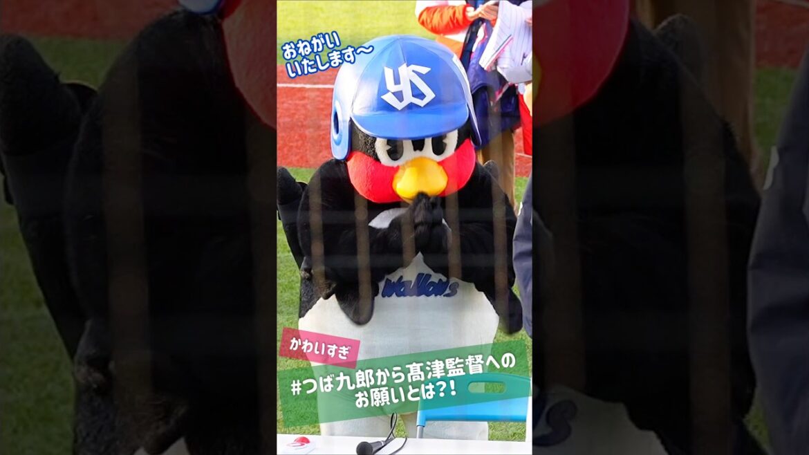 つば九郎が髙津監督にお願いしたこととは？　#shorts  #つば九郎 #髙津臣吾