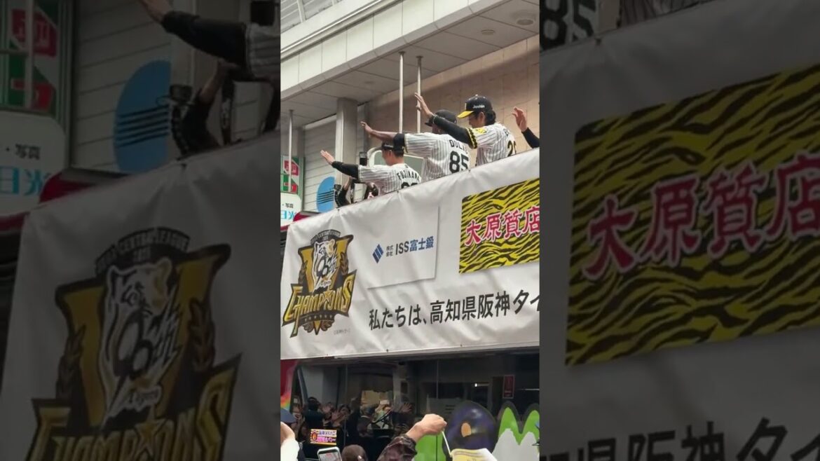 阪神タイガース高知優勝パレード 2025/11/10 #阪神タイガース #阪神 #優勝パレード