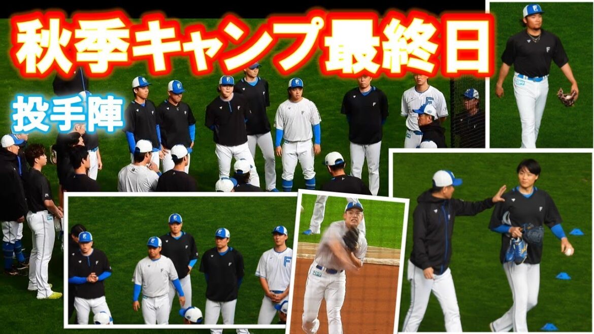 【20251109】秋季キャンプ最終日（投手陣・山﨑福也・奈良間・野村）