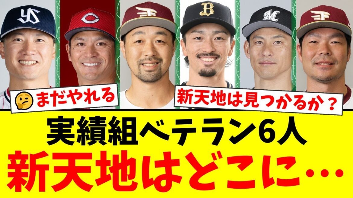 【衝撃】ヤクルト西川遥輝、ロッテ荻野貴司ら実績十分のベテラン野手6人が戦力外に…彼らの獲得に名乗りを上げる球団は現れるのか？ファンの間で巻き起こる賛否両論を徹底解説！【プロ野球ファンの反応】